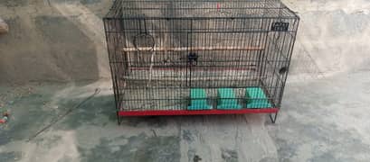 Cage Almost New (Only One Month Used)