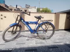 Roman Bike | Excellent Condition | Ready to Ride!