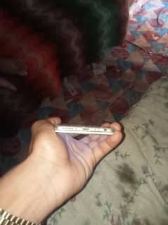 03003033189 Fone num