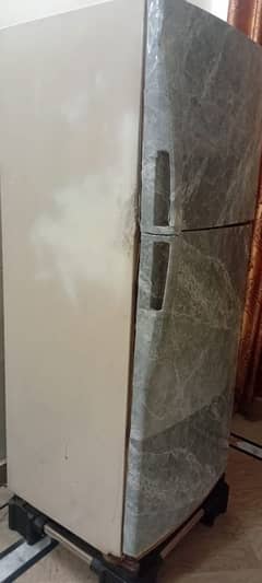 frige