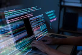 Senior WordPress Developer