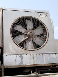 lahori Cooler full size