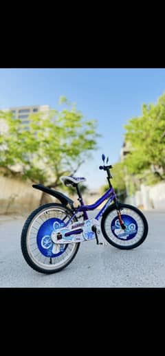 NEW Cycle