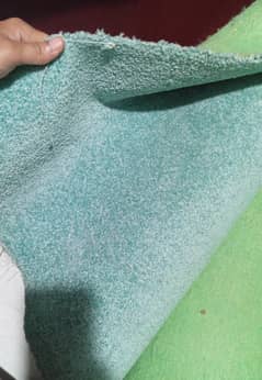 Carpet