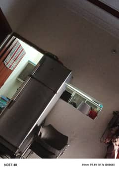 frije