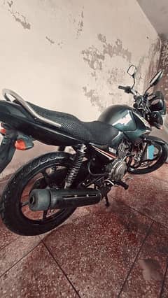 Yamaha YBR 125 Model 2022 | Yamaha  In Bikes | Total Geniune