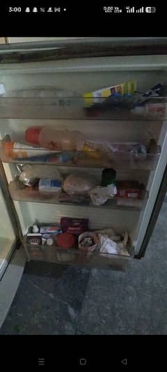 Dollance fridge