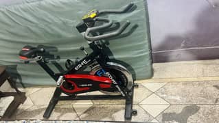 Ecofit Spin Bike heavyweight