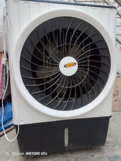 Air Cooler in lush condition