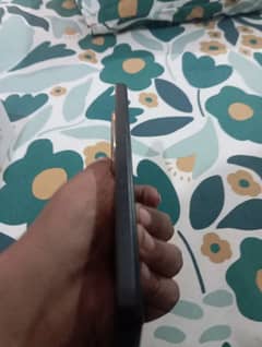 03003176492