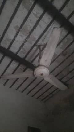 Ceiling FAN