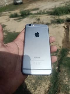 iPhone 6