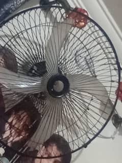 12 volt 2 fan urgent sale