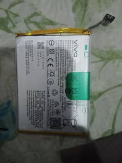 vivo