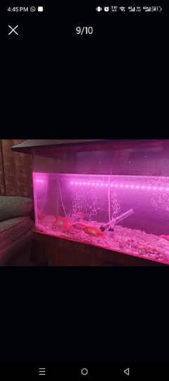 AQUARIUM