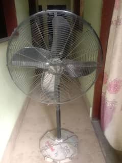 large