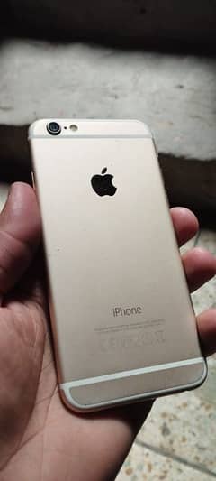 i phone  6