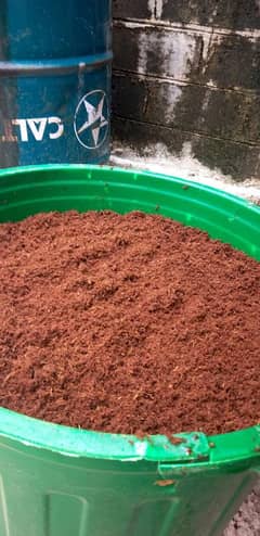 cocopeat read to use