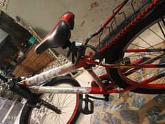 ORIGINAL GIANT CYCLE FOR SALE FULL SIZE