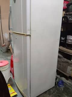Full Size refrigerator.