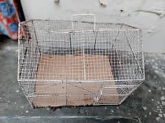 Birds cage low price