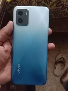 vivo