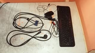 Mouse