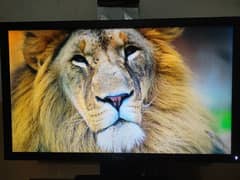 Dell 22 inch lcd