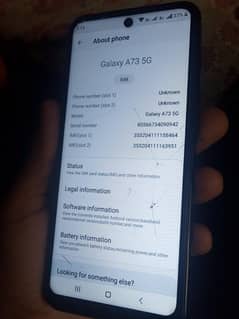 Samsung Galaxy’s A73 5G
