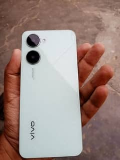 VIVO