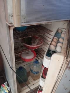Refrigerator Fridge