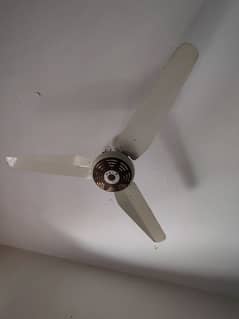 polo AC DC fan all okay hai no open no repair