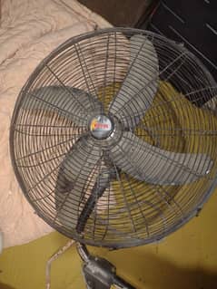 Royal Bracket fan 2