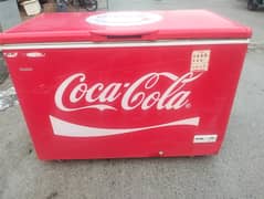 C d freezer singel door (0306=4462/443)awsumset