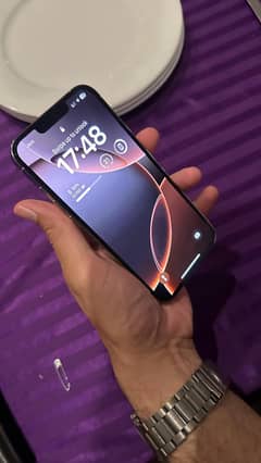 13 pro 256 GB