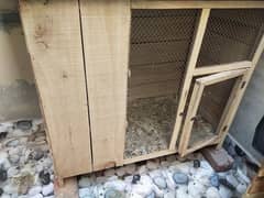 birds cage