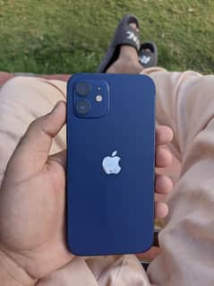iPhone 12