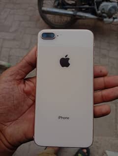 8Plus PTA APPROVED