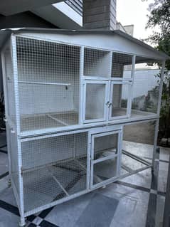 Birds cage
