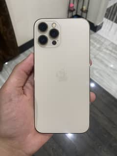 12 PRO MAX
