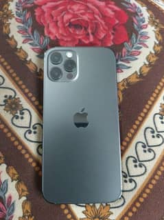 iPhone 12 pro (97℅ battery) plus original charger