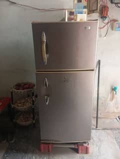 hier medium size fridge