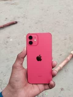Apple iPhone 12