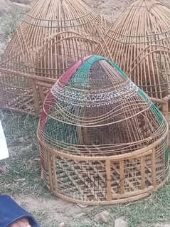 1 pair aur 1 male dhakni ghar k paly howe teetar for sale.