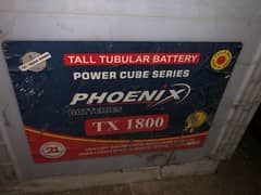 4 Phoenix Tubular Batteries