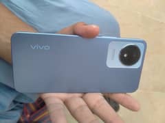 vivo