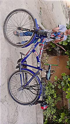 very good cycle for sale
