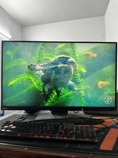 Lenovo 32inch 4k IPS Monitor
