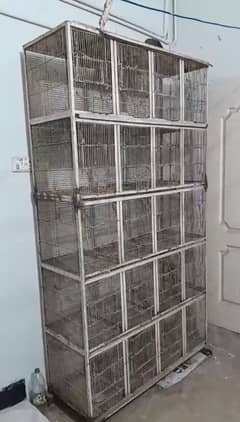 Birds Cage