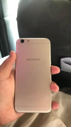 PHONE/ARGUS XT 100 WAT